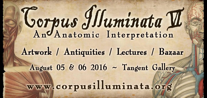 corpus6_tv_ad